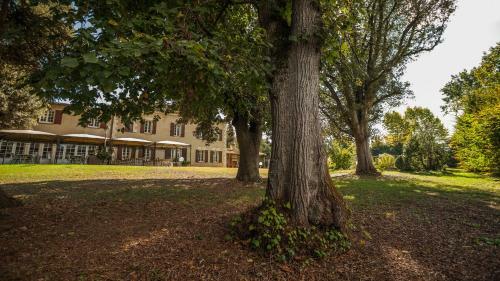 Hotel La Flambee