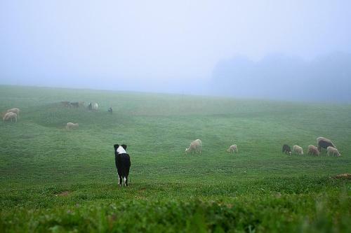 Posada R�ves De Moutons
