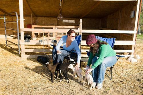 Posada R�ves De Moutons