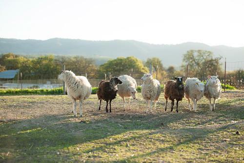 Posada R�ves De Moutons