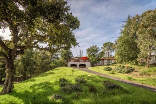 3 Vinos Hacienda 36