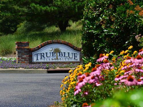 Apartamento #19g True Blue Condo