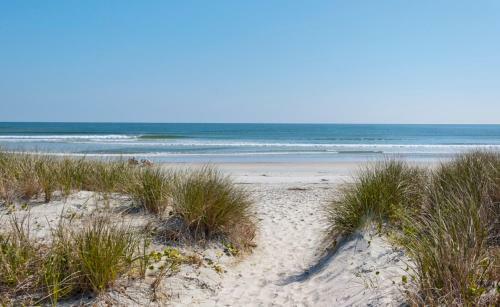 Hotel Pawley's True Blue
