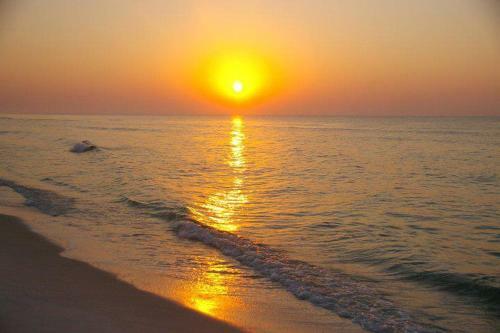 Apartamento Perdido Key Condo #d11 Condo