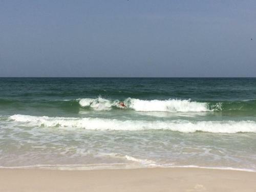 Apartamento Perdido Key Condominiums #b13 Condo