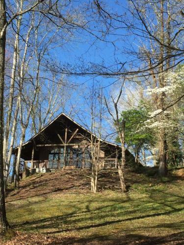 Bear Tracks Mountain View Cabin
