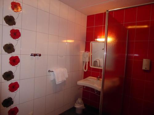 Hotel H�tel Aster
