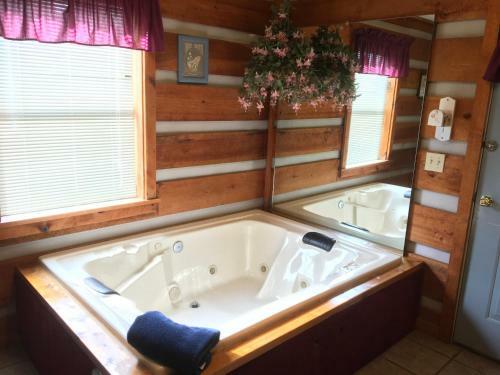 Dogwood Vacation Cabin Great Mtn Views