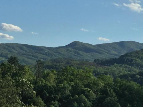 Dogwood Vacation Cabin Great Mtn Views