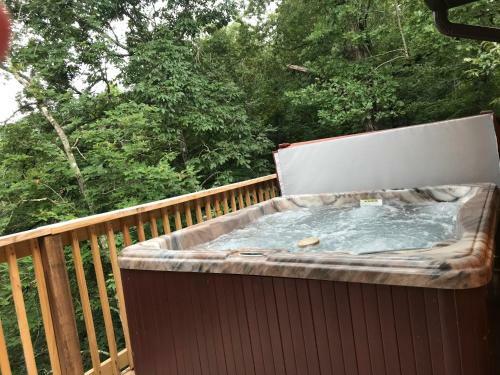 Black Bear Cinema 4819 - Four Bedroom Cabin