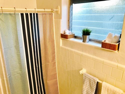 Petrina Studios Apartments