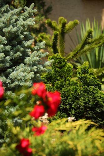 Hotel H�tel Le Clos Roussillon