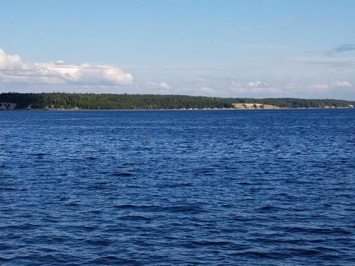 Multi Resorts At Kala Point