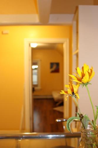Providence Hostel & Guest House