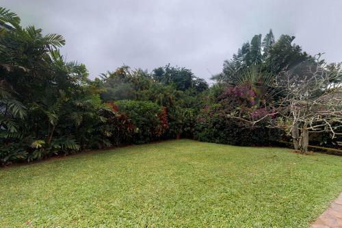 Hale Hau'oli
