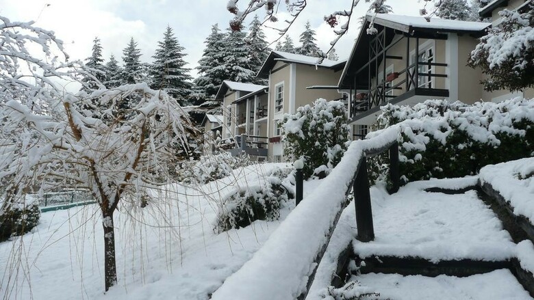 Hotel Aldea Andina Resort