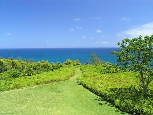 Apartamento Ali'i Kai 7204 Condo
