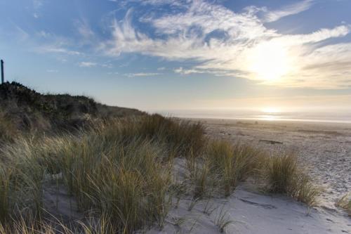 Beach Escape