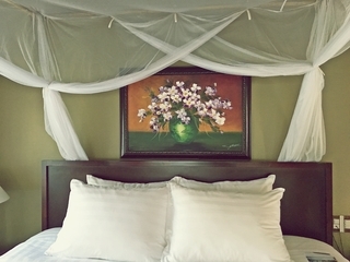 Hotel Diamond Bay Resort