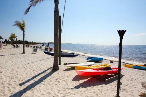 Bahia Layaway 579