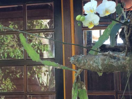 Hotel Pousada Janellas Do Mar