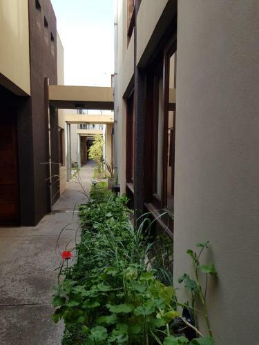Apartamento Taruca Monoambiente