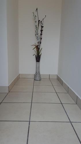 Vida Nueva Vivienda Vacacional