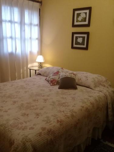 Habitaciones En Salta