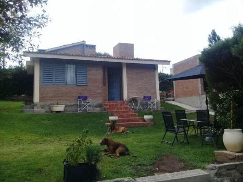 Apartamento Conanas De San Antonio