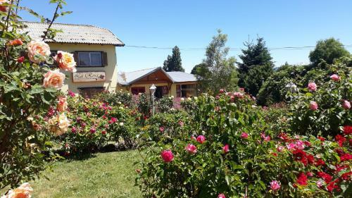 Posada Residencia Familiar La Rosa