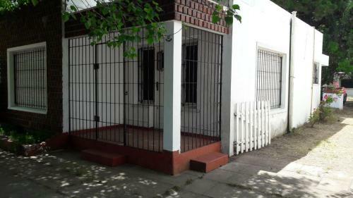 Pinos 1
