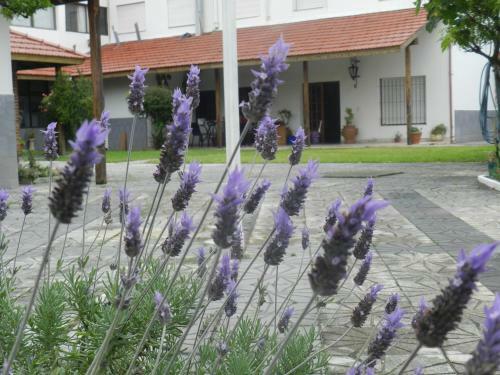 Eluney Hotel