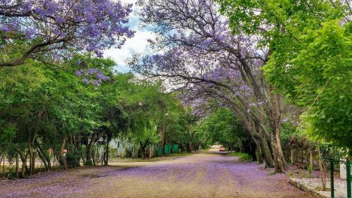 Camping Los Quebrachos