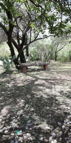 Jardin De Estrellas