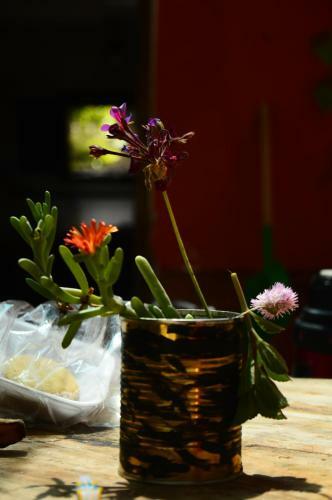Bed & Breakfast Casa Venus En Acuario