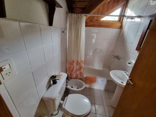 Lodge Caba�as Del Lacar