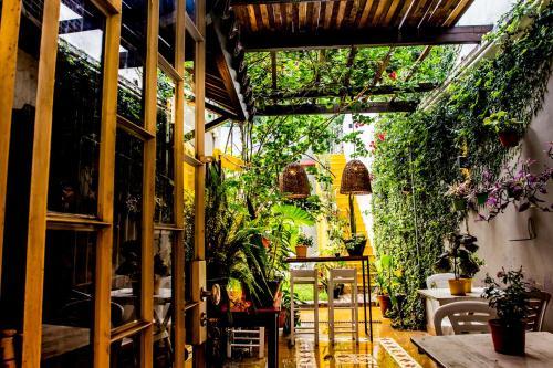 Cit�, Bed And Breakfasts