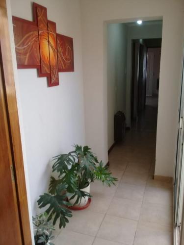 Casa Los Cactus