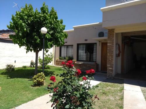 Apartamento Casa