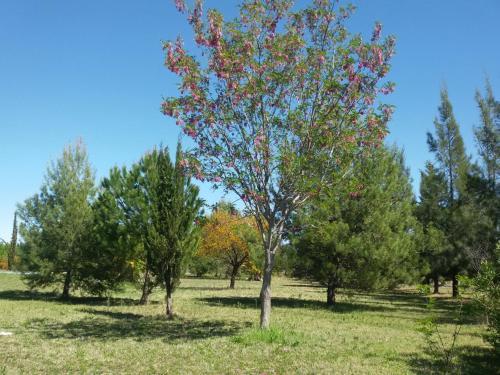 Apartamento Caba�as Alicia