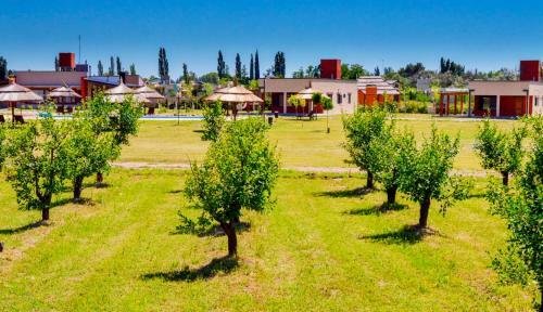 Lodge Caba�as Morita Mia
