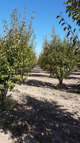 Finca La Lila