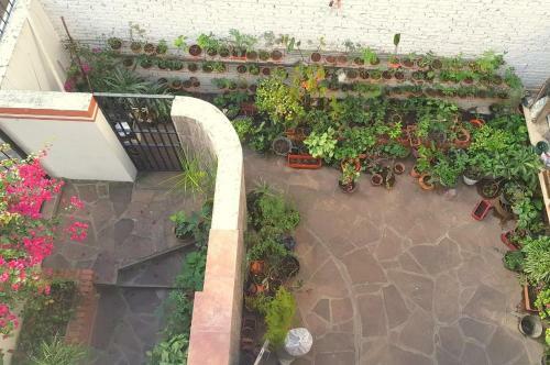 Casa Algarroble