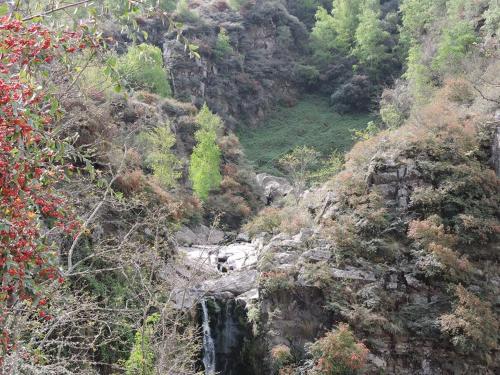 Lodge Caba�as Campo Huasi