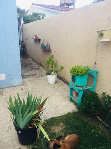 Apartamento Benito Soria 137