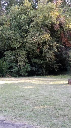 Rancho Apar T -