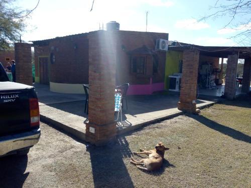 Agroturismo Cabanas El Arbol