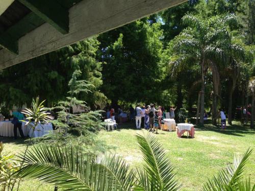 Las Casuarinas Del Rio Capitan