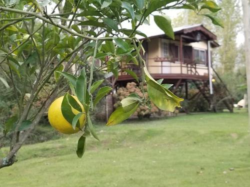 Lodge Viva El Delta - Tigre