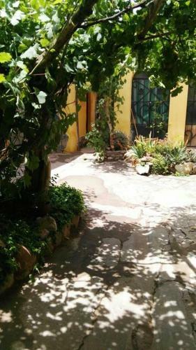 Hostal Andino Hostel